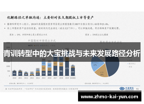 青训转型中的大宝挑战与未来发展路径分析 青训转型中的大宝挑战与未来发展路径分析
